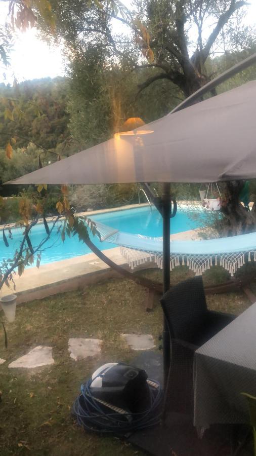Abeille Vence Exterior foto