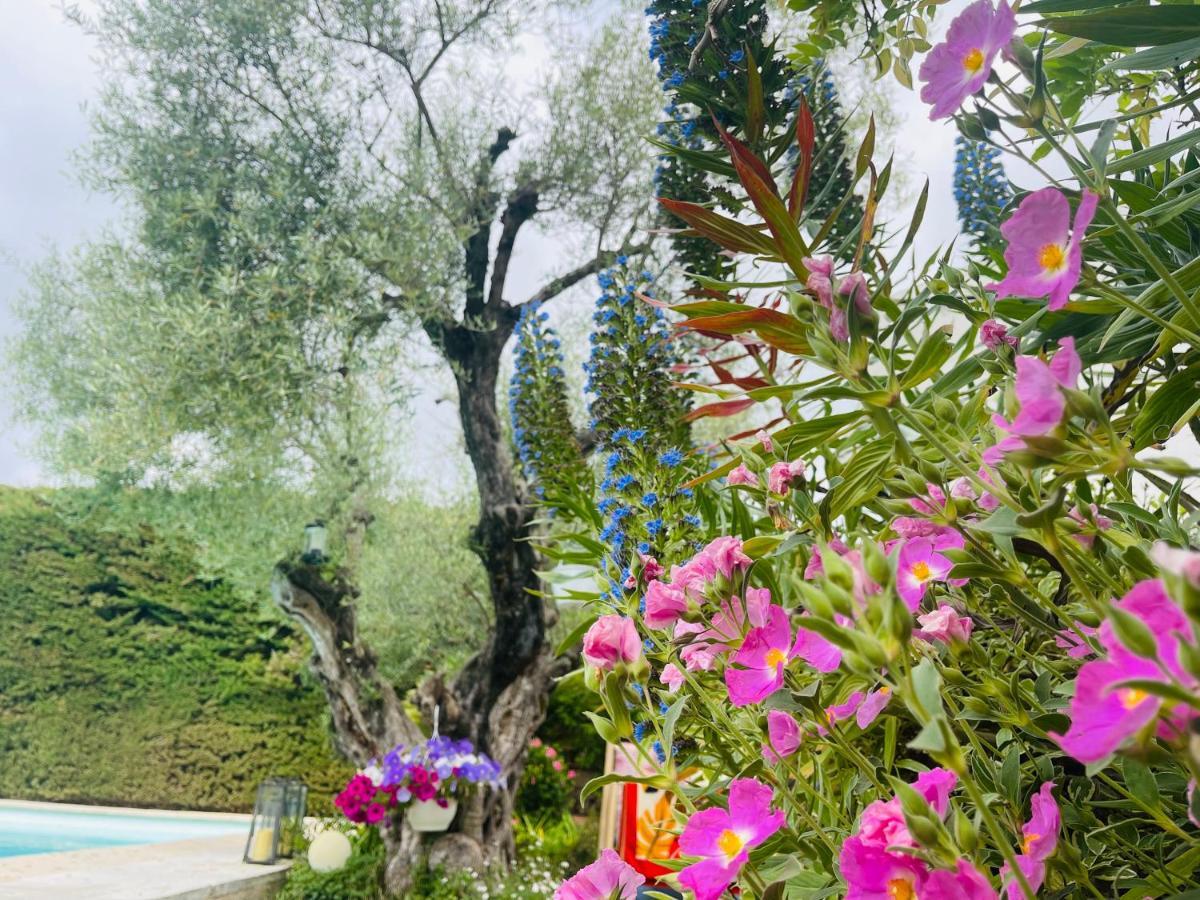 Abeille Vence Exterior foto