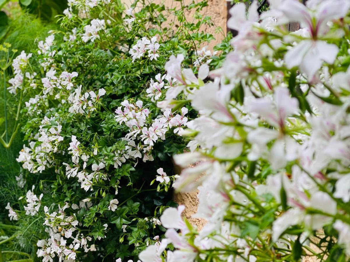 Abeille Vence Exterior foto